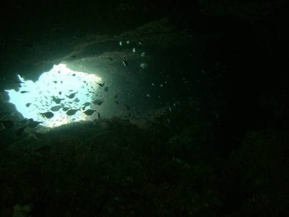 Atravessando caverna submarina durante snorkel na praia de Chastanet, em Soufriere, sul de Santa Lúcia